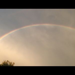 Meet your Posher, Enesa